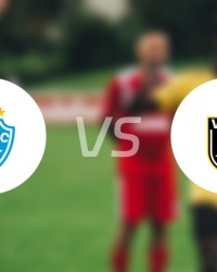 开云登录入口地址-【巴西乙】帕桑度vs沃尔特雷东达首发阵容名单(2025年09月06日)