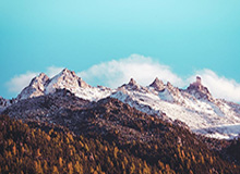 莫兰特或因伤缺席G2 湖人晋级已经无悬念？